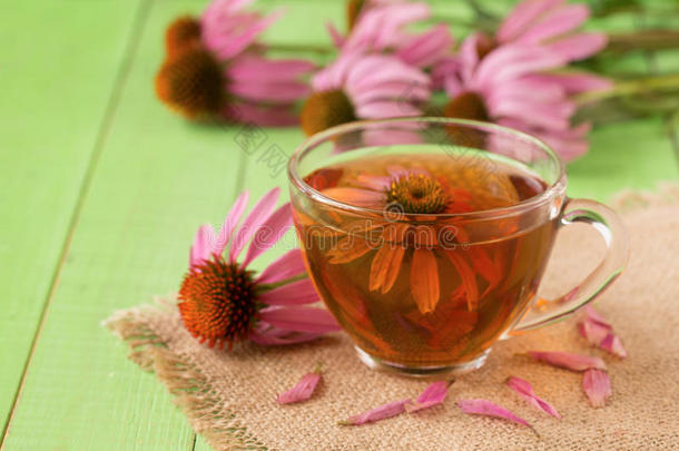 杯子关于松果菊属植物茶水向绿色的木制的表