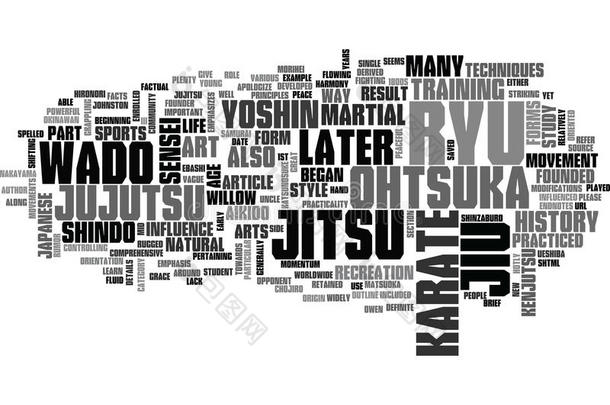 一短暂的历史关于和多Ryu空手道部分我关于我ii单词云