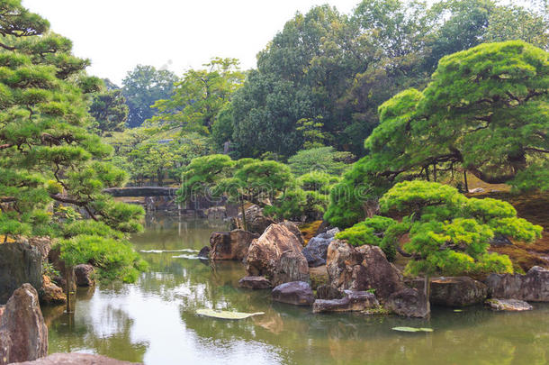 传统的日本人花园在尼乔城堡,京都.