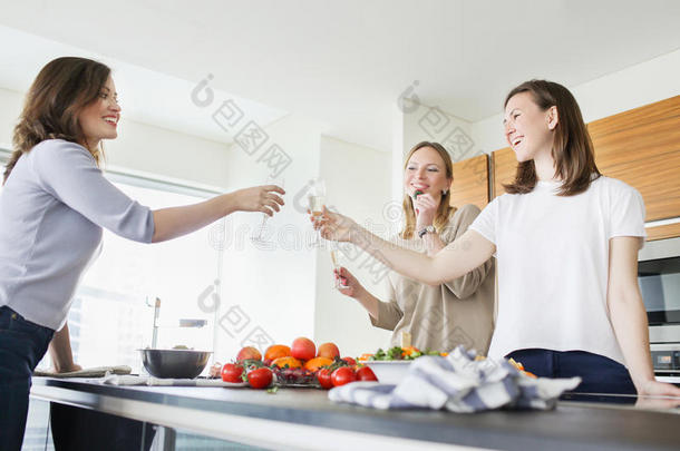 组关于幸福的女人向祝酒在社交聚会采用指已提到的人厨房