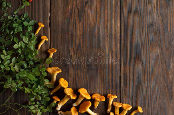 收集一种食用的蘑菇蘑菇采用木制的背景.收集