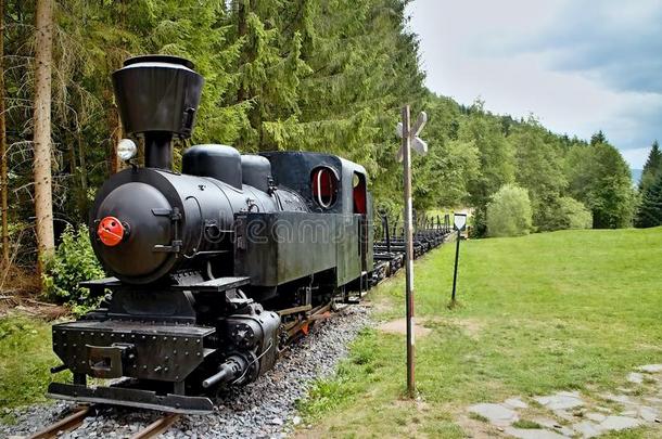 切尔诺贝利<strong>铁路</strong>采用村民黑色巴洛格,斯洛伐克.机车