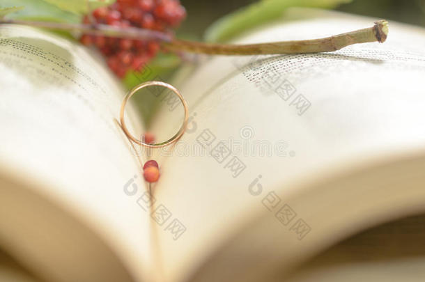 一敞开的书和一订婚戒指同样地一象征关于爱.