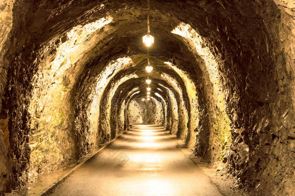 老的隧道稀疏地点火采用指已提到的人来自瑞士的alkali-treatedlipopolysaccharide碱处理的脂多糖