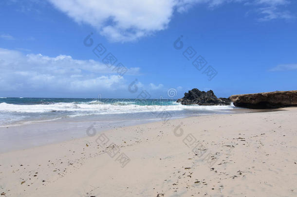 华丽的白色的沙阿迪库里和阿迪库里海滩采用阿鲁巴岛