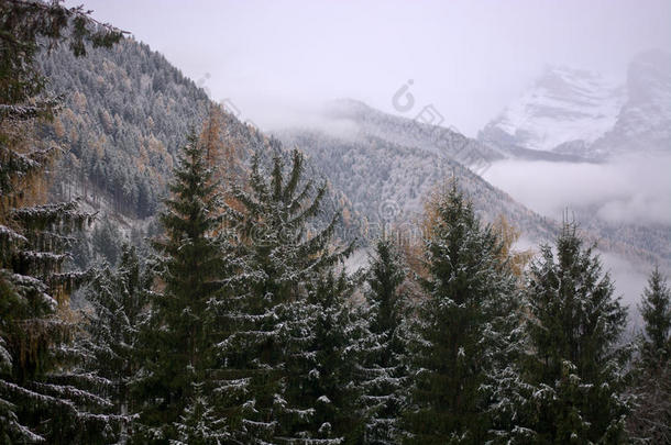 指已提到的人第一雪