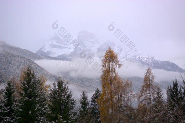 指已提到的人第一雪