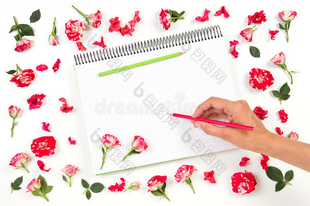女人手绘画向螺旋笔记簿和有色的铅笔和英语字母表的第18个字母