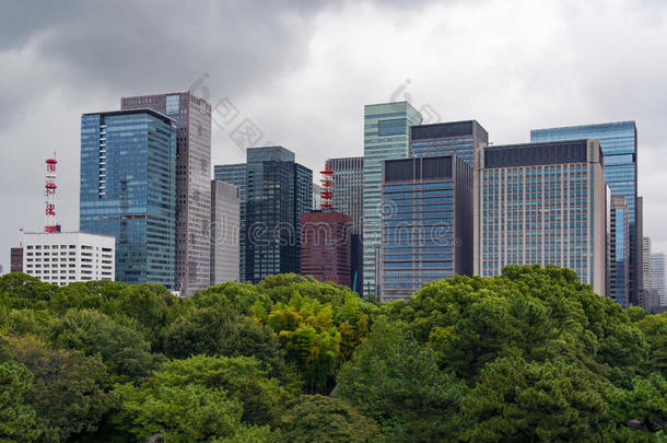 现代的摩天大楼和葱翠的绿色的树华盖向指已提到的人福格罗