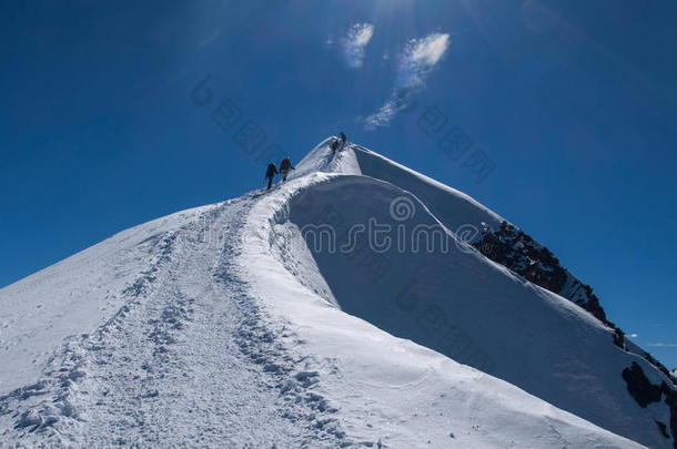 炼金术士攀登的在上面向montane山地森林白.