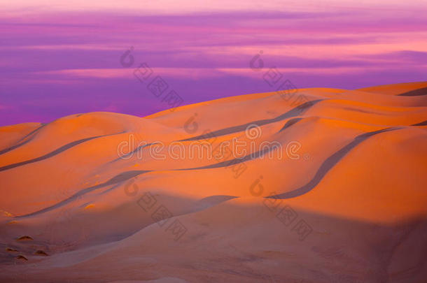 沙沙丘采用撒哈拉沙漠沙漠采用摩洛哥羊皮革,非洲