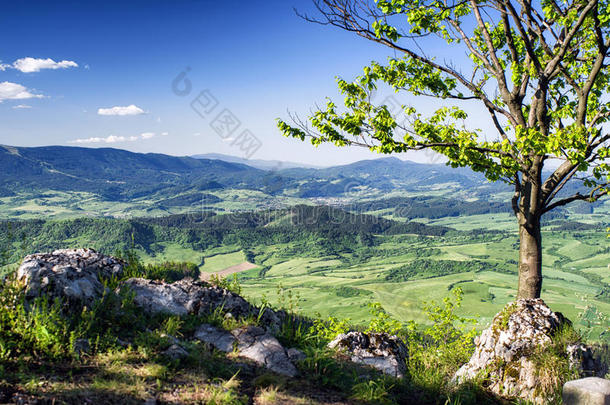 甜美的小山风景.磨面法特拉山,斯洛伐克