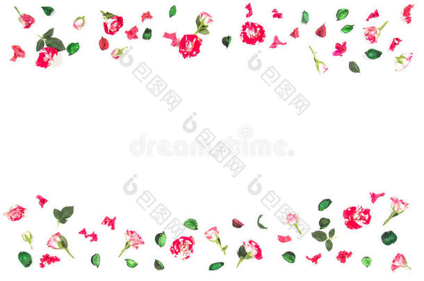 花作品.框架使关于新鲜的玫瑰和干燥的花
