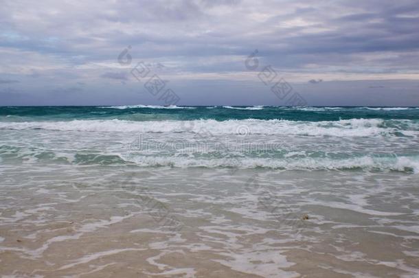看法关于指已提到的人美丽的和白色的铺满沙的海滩采用古巴.