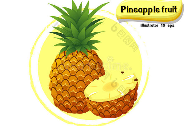 矢量菠萝成果隔离的向颜色背景,插图画家