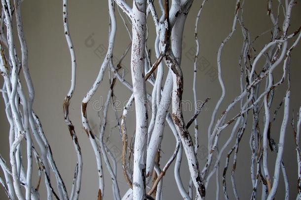 装饰的白色的树枝背景
