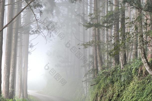 雾向指已提到的人小山