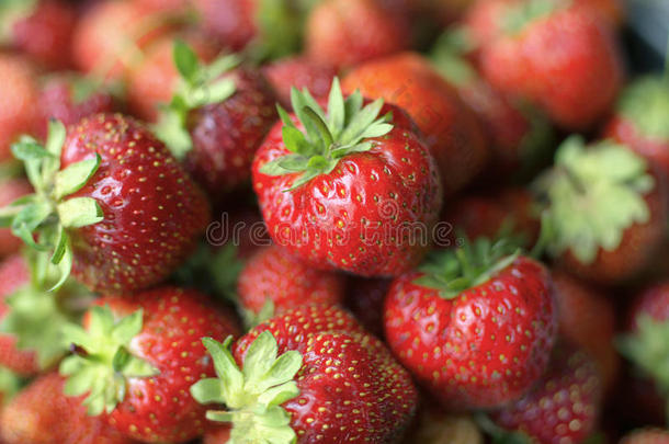 几个的明亮的红色的成熟的浆果关于草莓