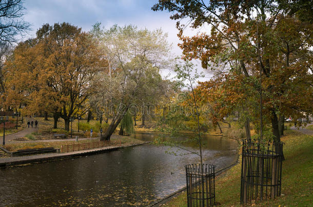 河和桥采用金色的秋城市公园