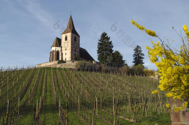 葡萄酒跟踪重要的向一老的法国的教堂