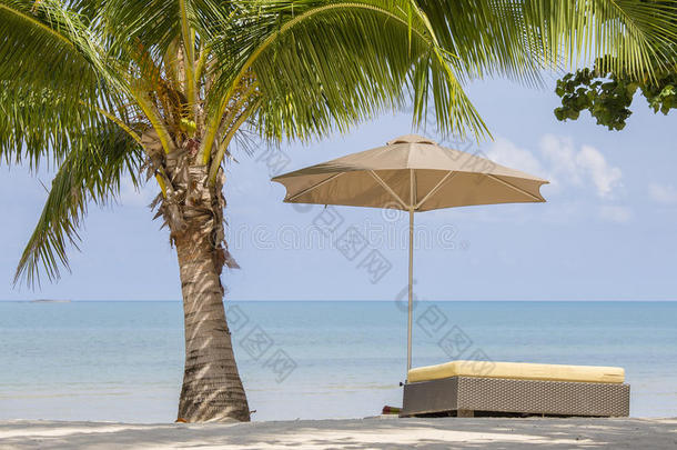 美丽的热带的海滩,手掌树,海水,雨伞和太阳