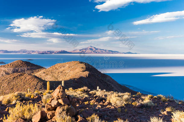 巨大的仙人掌盐湖demand需要乌尤尼岛山风景优美的风景