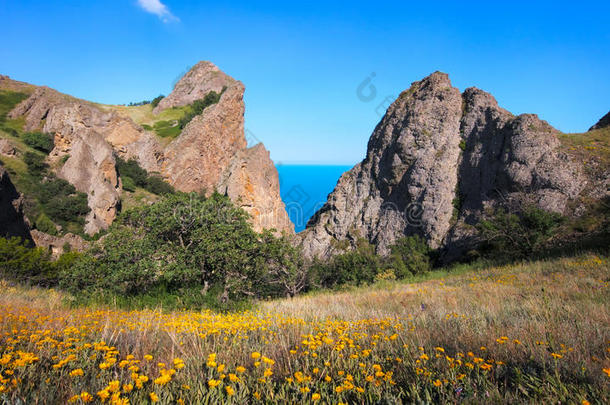 山海.山花风景.