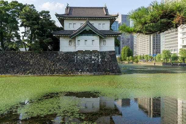 基科蒙门采用东京