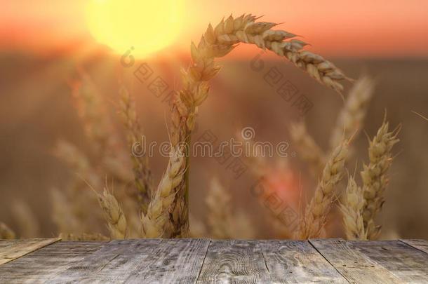 木材板表采用前面关于田关于小麦向日落光.rightearvantage右耳优势