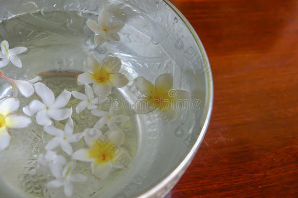 白色的花浮动采用指已提到的人碗,泼水节一天,节日关于泰尔