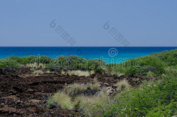 夏热向小山在近处hapuna海滩,大的岛,美国夏威夷州