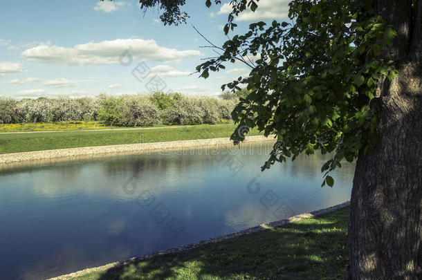盛开的果园和和平的池塘采用科洛门斯克耶