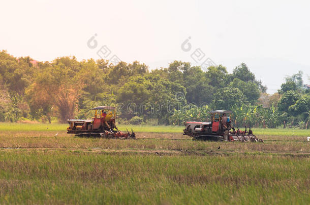 农业农田,拖拉机和耕作耕作ing一泥土田