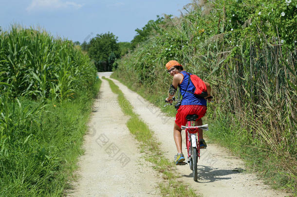 年幼的骑自行车的人踏板向路和面谷物田采用夏