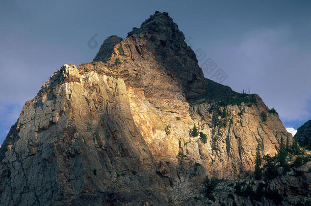 日晷<strong>山峰</strong>采用指已提到的人Tw采用<strong>山峰</strong>s荒野,大的三叶杨峡谷