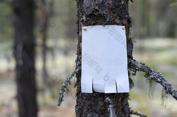 一通告,一信,一mess一ge向一树采用指已提到的人森林.