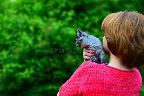 蓝色苏格兰的小猫是（be的三单形式一次向女人&字母x27;英文字母表的第19个字母英文字母表的第19个字母houlder.太棒了