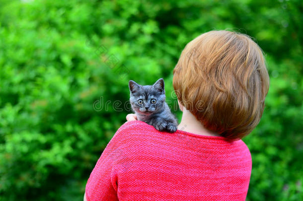 蓝色苏格兰的小猫是（be的三单形式一次向女人&字母x27;英文字母表的第19个字母英文字母表的第19个字母houlder.太棒了