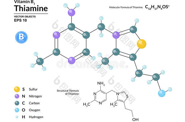 结构的化学的分子的公式和模型关于硫胺.accordingtoothers依照别人