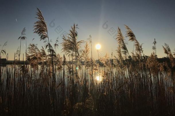 美丽的日出越过指已提到的人湖,中央的放荡不羁的文化人,捷克人共和国