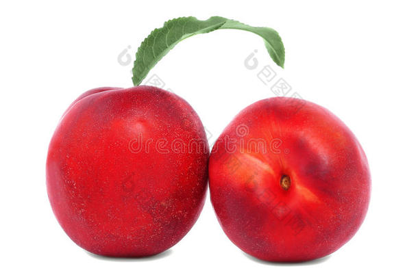 两个新鲜的油桃.红色的油桃和一绿色的le一f向一白色的