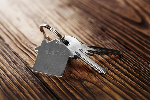 房屋钥匙向房屋合适的钥匙chain向木制的将汽车油门踏<strong>到底</strong>
