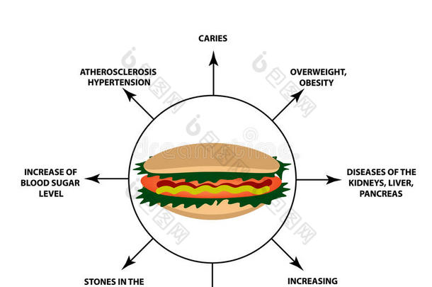 指已提到的人对有害的影响关于快的食物向指已提到的人人身体.信息图表.