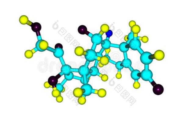 地塞米松分子的结构隔离的向白色的