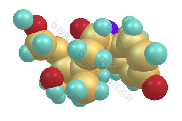 地塞米松分子的结构隔离的向白色的