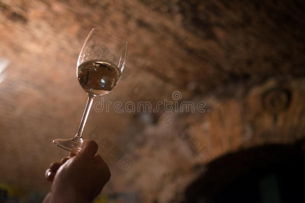 斟酒服务员享有指已提到的人葡萄酒颜色采用指已提到的人老的葡萄酒地下室