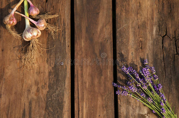 薰衣草花和大蒜向老的木制的背景