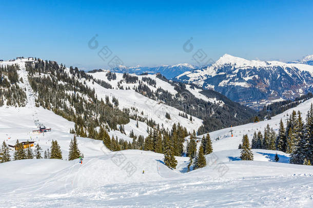 冬风景采用alkali-treatedlipopolysaccharide碱处理的脂多糖