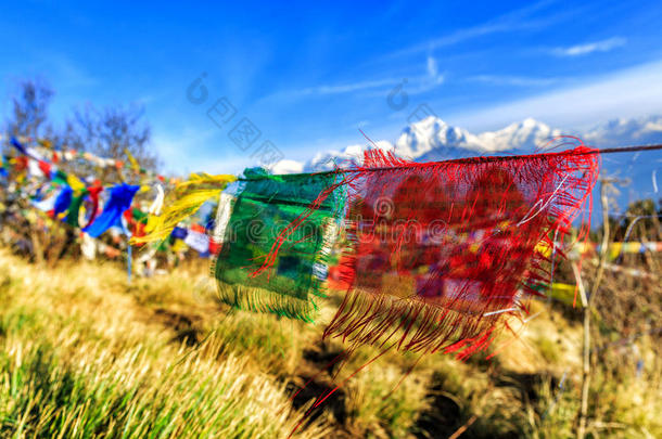 祈祷旗在胡桐小山采用尼泊尔