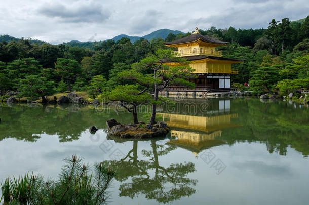 金色的庙金卡库-jittery神经过敏的采用京都
